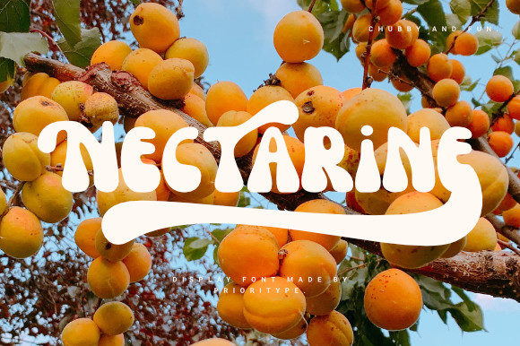 Nectarine: A Retro Display Font for Your Brand